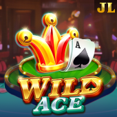 Wild Ace - Big Bunny Wild Slots